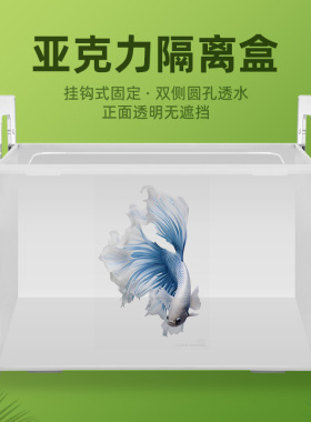 鱼缸观赏盒隔离盒亚克力黑色白色孵化盒水族小鱼隔离饲养鱼苗繁殖