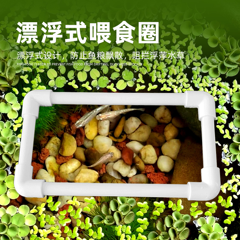 鱼缸悬浮漂浮喂食圈喂食器喂食管投食管鱼粮防止飘散浮萍阻拦白色