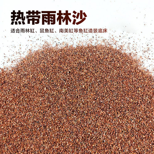 热带雨林沙鼠鱼沙鱼缸七彩红石榴