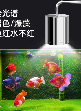 鱼缸灯LED全光谱溪流原生缸金鱼兰寿泰狮爆藻出苔灯水草缸灯筒灯