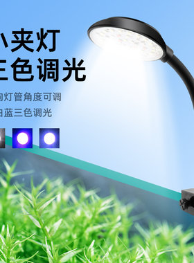 增艳低压照明迷你小夹灯