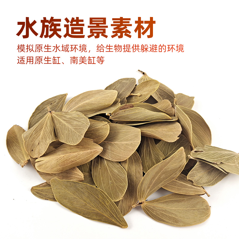 鱼缸造景素材南美缸原生缸溪流缸龟缸天然树叶果实果壳躲避卡博叶