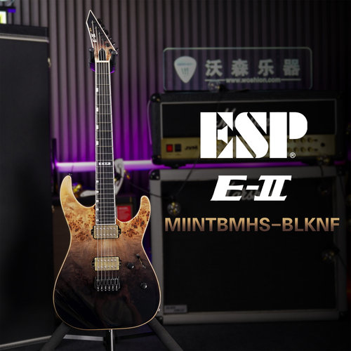 ESP E-II M-II NT HIPSHOT BLKNF 日产 新派 树瘤枫木 BKP 穿体