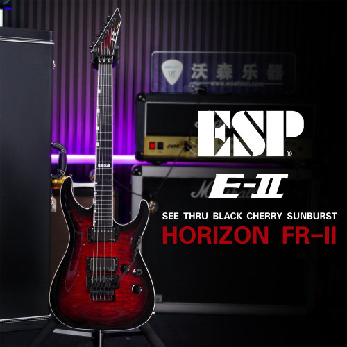 ESP E-II HORIZON FR-II QM BKCH 日产 双摇 主动 絮状枫木 预定