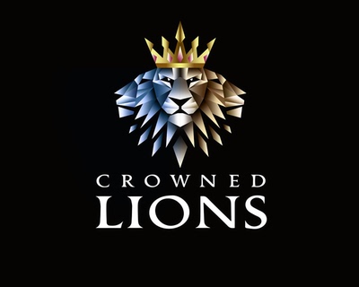 邦多总监高端原创专业商标logo设计 企业公司VI全套定制 满意为止