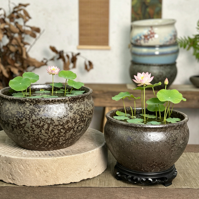 气泡釉碗莲睡莲花盆陶瓷无孔花盆釉面新中式花盆水培花盆铜钱草盆
