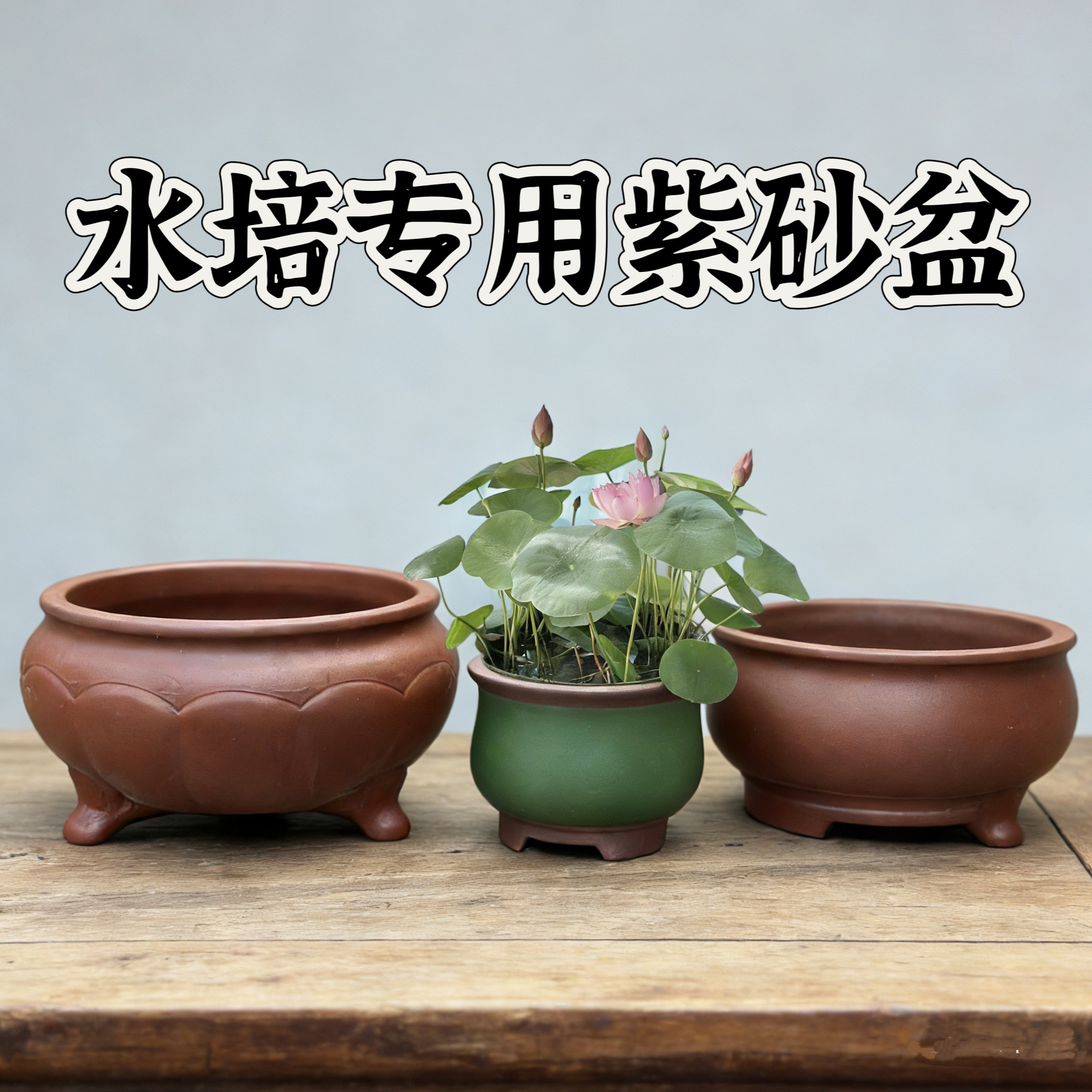 紫砂系列水培碗莲微莲花专用铜钱草水培专用紫砂盆禅意花盆无孔盆