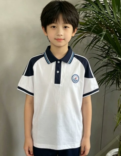 宝鸡陈仓虢镇初级中学校服短袖（七年级）