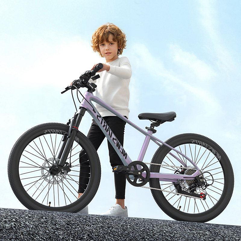 青年电动变速自行车学生户外山地车大童上学旅游代步车可放后备箱