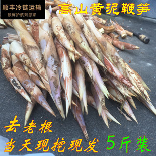 纯野生新鲜鞭笋天然当季蔬菜浙江农家高山边笋夏笋竹笋尖现挖5斤