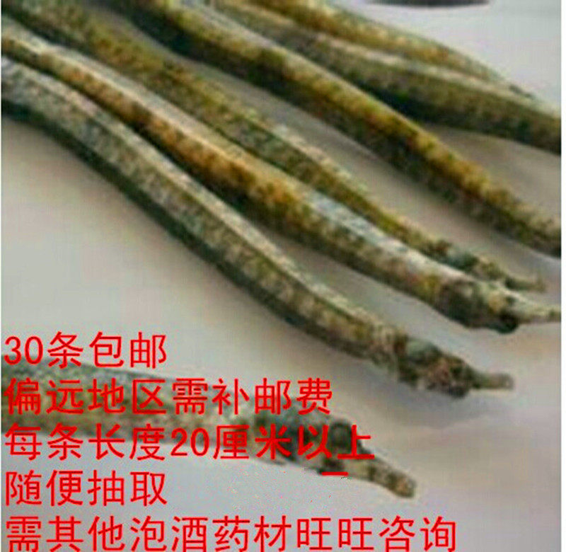 拟海龙 四角海龙干 刁海龙  干货 泡酒药材 30条包邮