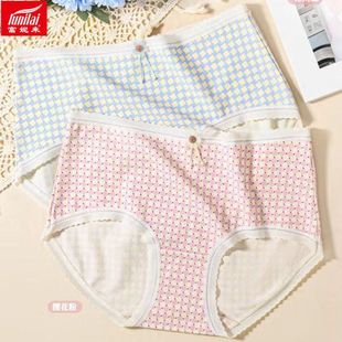 蕾丝花边小平角裤 莫代尔棉格子中腰短裤 头女5013 富妮来女内裤 2条