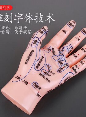 按摩手模型反射区人体针灸模型男女穴位经络针灸中医教学图17厘米
