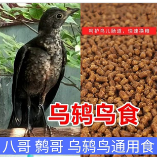 乌鸫鸟八哥鸟鹩哥鸟百舌鸟喜鹊鸟食饲料