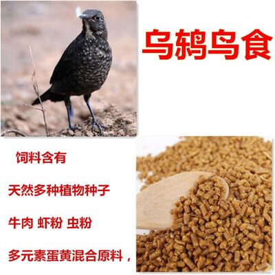 乌鸫鸟食八哥鸟鹩哥鸟饲料