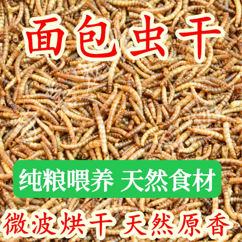 饲料黄粉虫仓鼠包邮500g鸟食