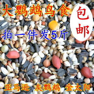 大型鹦鹉鸟食饲料 亚历山大 金太阳金刚 亚马逊灰鹦鹉鸟粮 5斤
