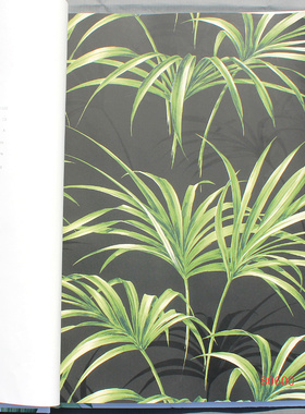 美国进口棕榈树沙发背景墙壁纸 TP80600 80602 80604 80610 80612