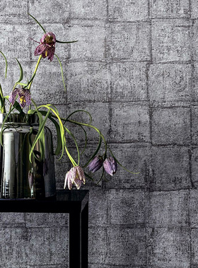 德国进口无纺布墙纸现代简约卧室壁纸21913 21914 21915 21916 17