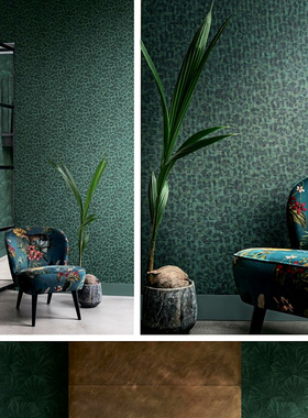 荷兰进口简约法式壁纸墙纸220140 220141 220142 220143 220144