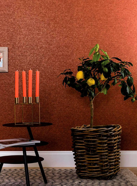 德国进口无纺布素色麻面墙纸59240 59241 59242 59243 59244 245