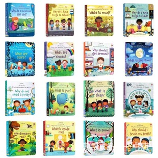 Usborne 英文幼儿问与答 Lift the flap 儿童科普启蒙认知翻翻书