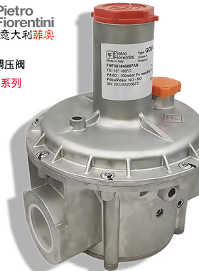 燃烧调压阀 减压阀稳压阀 意大利菲奥FMF30163 30063 30165 30167