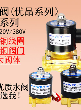 常闭电磁阀水阀2w025AC220V气阀DC24V DC12V 2分3分4分6分1寸现货