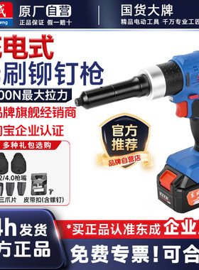 东成无刷电动铆钉枪DCPM2050 锂电池充电全自动拉铆枪压铆钉工具