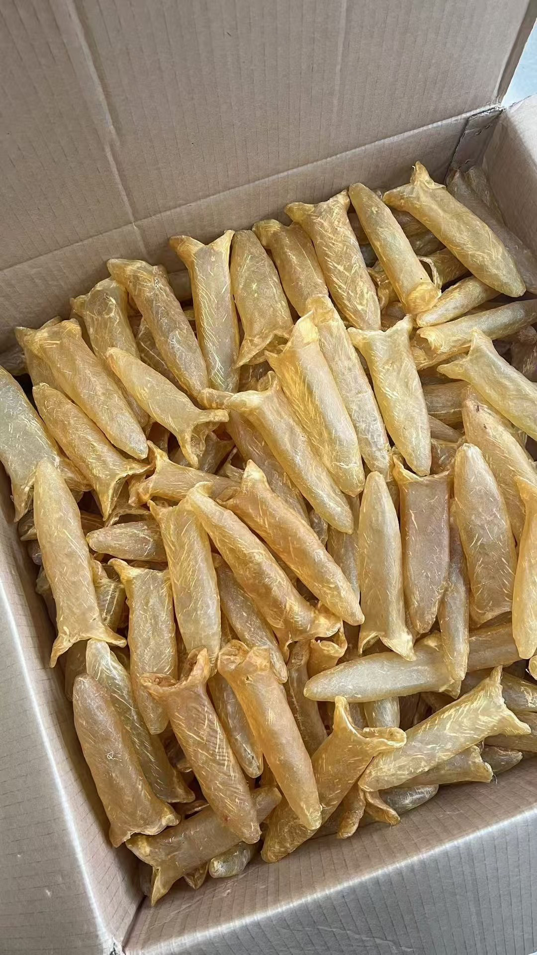 花胶，黄鱼胶