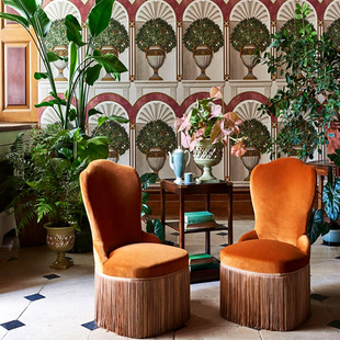 桔子树图案客厅壁纸 英国Cole&Son进口墙纸现代轻奢简美皇家花园