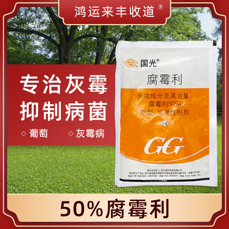 国光 腐霉利油菜葡萄草莓黄瓜番茄 灰霉病专用药菌核病杀菌剂农药