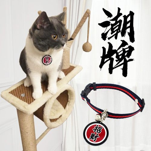 潮牌水钻宠物项圈小狗项圈猫咪带项圈铜铃铛泰迪可爱吊饰猫项圈