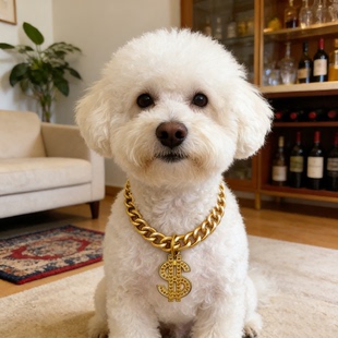 土豪小猫项圈铝链宠物项链猫咪小香风饰品猫项圈金链长命锁蝴蝶结