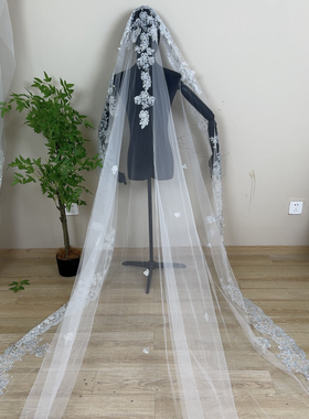 喷金蕾丝长头纱新娘结婚主纱配饰长款爆闪亮片拖尾超仙样片拍摄