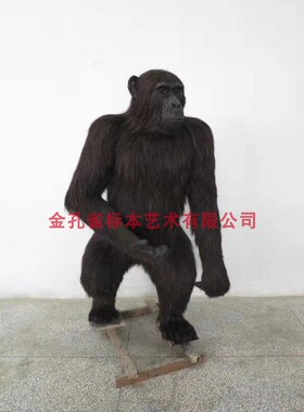 11年老店各种高仿真动物加工定制设计影视道具已灭绝动物