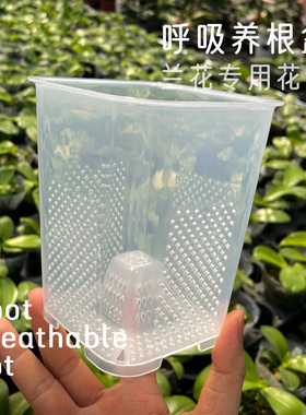 RBP呼吸盆蝴蝶兰专用花盆PP透明塑料洋兰控根排水透气多肉通用盆