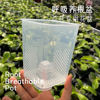 蝴蝶兰专用透明简约透气控根盆