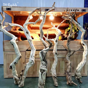 霸王藤木热带雨林爬宠造景素材藤条藤蔓爬虫箱宠物蜥蜴蛇箱景观