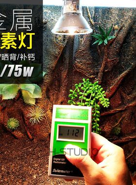 质保 UVA+UVB金属卤素灯 小太阳灯晒背灯 超强聚热 50W75w