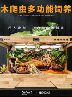 中大型蜥蜴澳洲水龙斑帆造景橡木实木智能排水景观饲养箱可定制