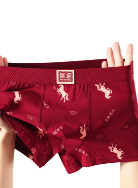 马年本命年红色男士内裤结婚喜庆马到成功平角裤纯棉印花好运内裤