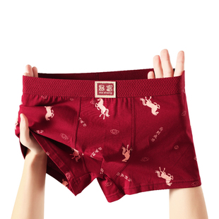 马年本命年红色男士内裤结婚喜庆马到成功平角裤纯棉印花好运内裤