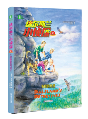 意林官方直营店  达尔斯兰小侦探2奇怪的兄弟 瑞典知名作家皮娅·哈格玛热销20余年作品  推理断案 励志成长 侦探小说