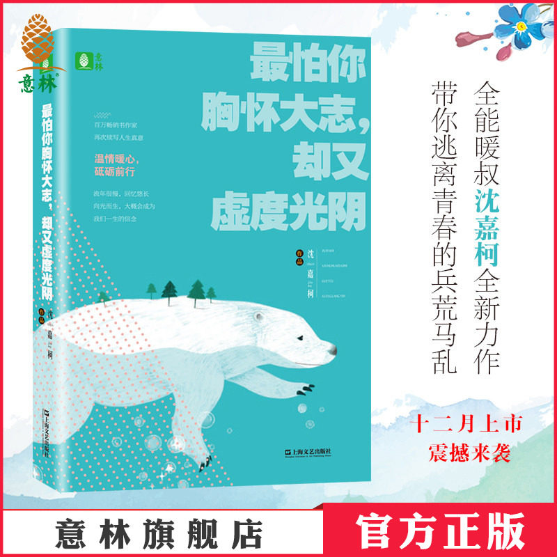 意林官方直营店 意林 最怕你胸怀大志 却又虚度光阴 沈嘉柯原创作品集 青春温暖励志散文