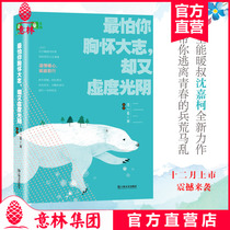 意林官方旗舰店 意林 最怕你胸怀大志 却又虚度光阴 沈嘉柯原创作品集 青春温暖励志散文