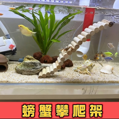 螃蟹攀爬架寄居蟹小爬梯辣椒蟹沙蟹相位蟹木质软爬梯鱼缸玩具拱桥