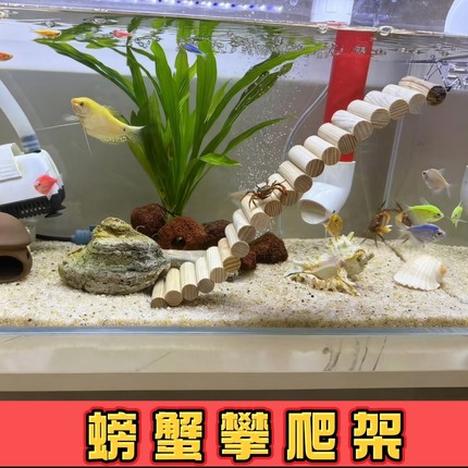 螃蟹攀爬架寄居蟹小爬梯辣椒蟹沙蟹相位蟹木质软爬梯鱼缸玩具拱桥