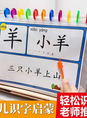 幼儿识字卡幼儿园识字我的第一本汉字册大字拼音版片幼儿早教启蒙