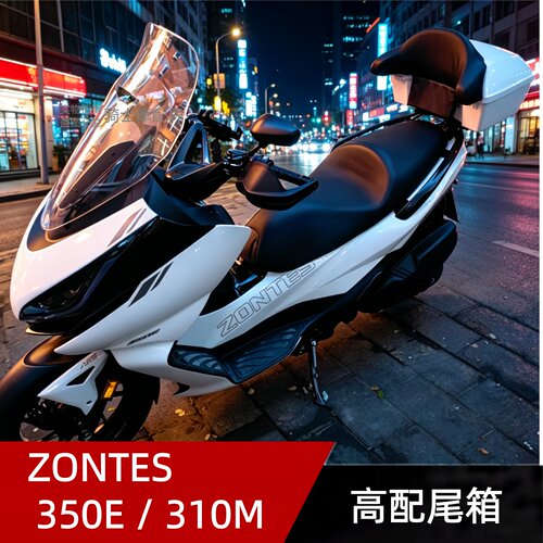 升仕350E/310M摩托车尾箱豪华皮靠防水大容量ZONTES改装后行李箱